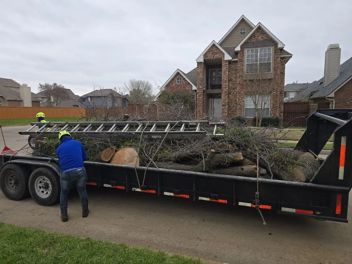 Expert Lot Clearing with proper safety equipment in Nicollet